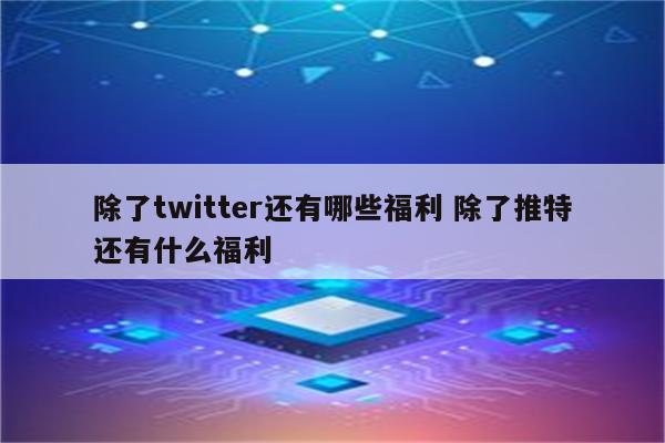 除了twitter还有哪些福利 除了推特还有什么福利