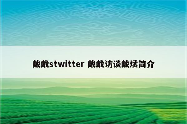 戴戴stwitter 戴戴访谈戴斌简介
