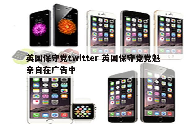 英国保守党twitter 英国保守党党魁亲自在广告中