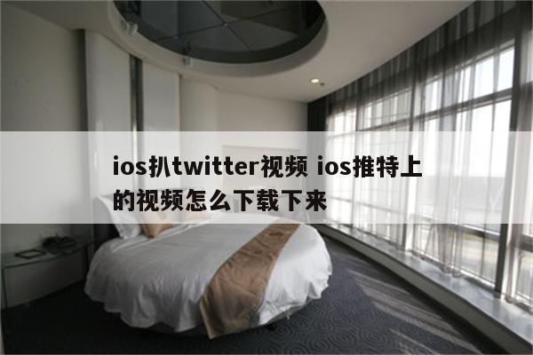 ios扒twitter视频 ios推特上的视频怎么下载下来
