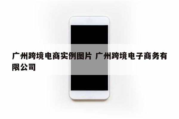 广州跨境电商实例图片 广州跨境电子商务有限公司