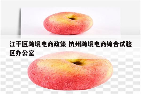 江干区跨境电商政策 杭州跨境电商综合试验区办公室