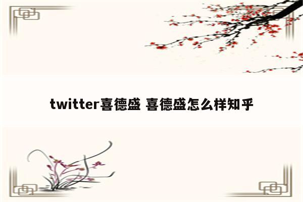 twitter喜德盛 喜德盛怎么样知乎