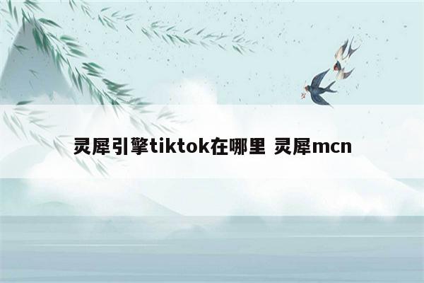 灵犀引擎tiktok在哪里 灵犀mcn