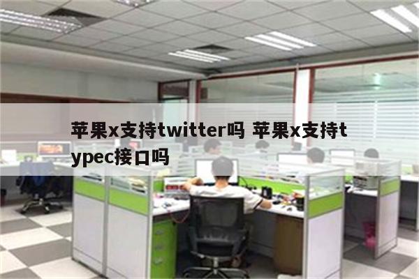 苹果x支持twitter吗 苹果x支持typec接口吗