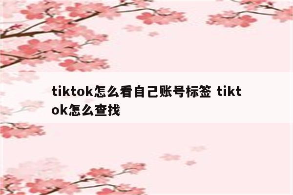 tiktok怎么看自己账号标签 tiktok怎么查找