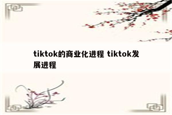tiktok的商业化进程 tiktok发展进程