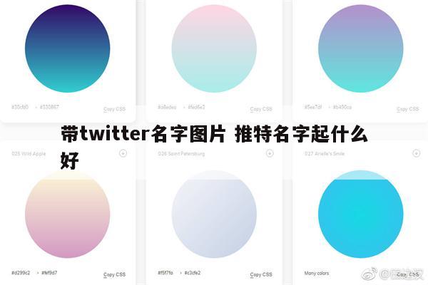 带twitter名字图片 推特名字起什么好