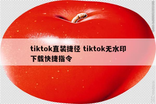 tiktok直装捷径 tiktok无水印下载快捷指令