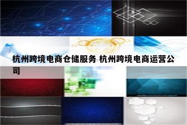 杭州跨境电商仓储服务 杭州跨境电商运营公司