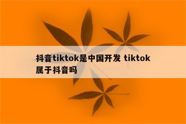 抖音tiktok是中国开发 tiktok属于抖音吗