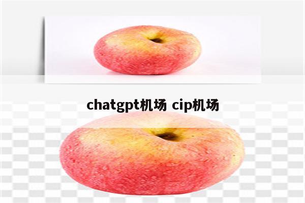 chatgpt机场 cip机场