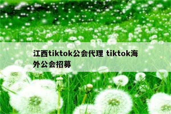 江西tiktok公会代理 tiktok海外公会招募