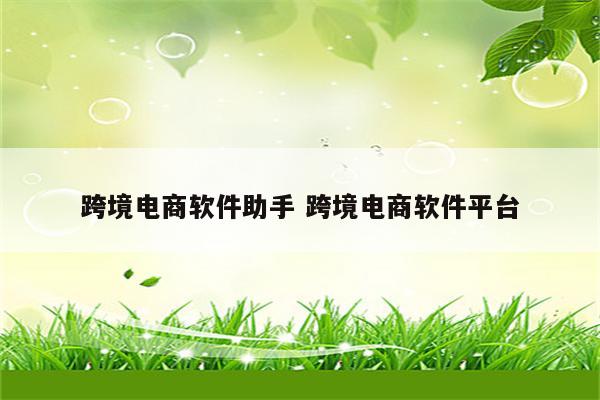 跨境电商软件助手 跨境电商软件平台