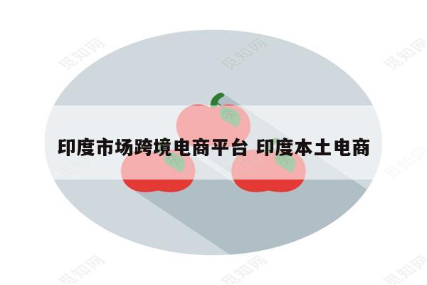 印度市场跨境电商平台 印度本土电商