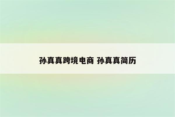 孙真真跨境电商 孙真真简历