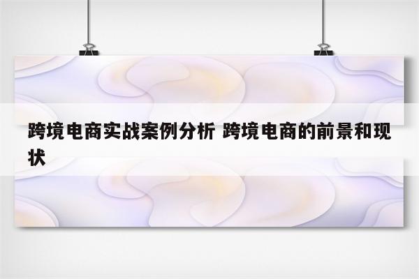 跨境电商实战案例分析 跨境电商的前景和现状