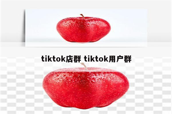tiktok店群 tiktok用户群