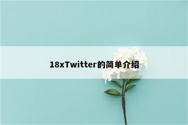 18xTwitter的简单介绍