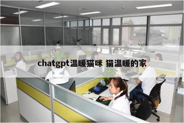 chatgpt温暖猫咪 猫温暖的家