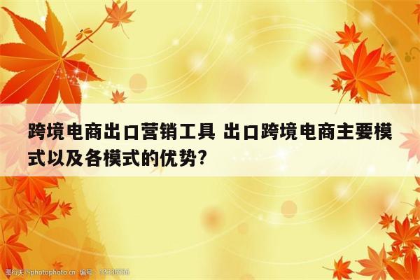 跨境电商出口营销工具 出口跨境电商主要模式以及各模式的优势?