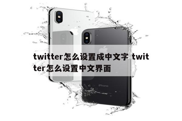 twitter怎么设置成中文字 twitter怎么设置中文界面