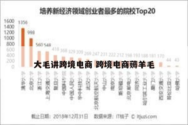 大毛讲跨境电商 跨境电商薅羊毛