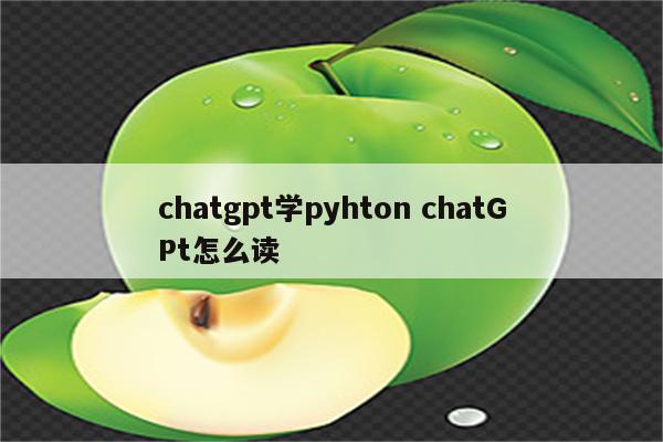 chatgpt学pyhton chatGPt怎么读