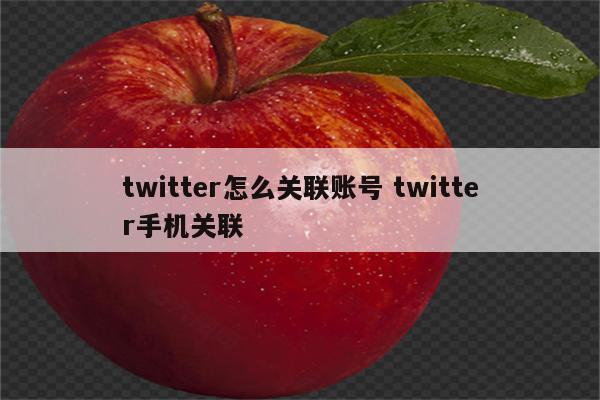 twitter怎么关联账号 twitter手机关联