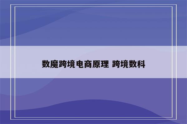 数魔跨境电商原理 跨境数科