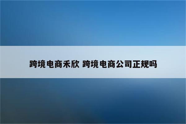 跨境电商禾欣 跨境电商公司正规吗
