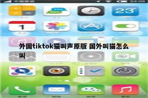 外国tiktok猫叫声原版 国外叫猫怎么叫