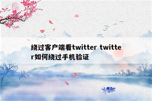 绕过客户端看twitter twitter如何绕过手机验证