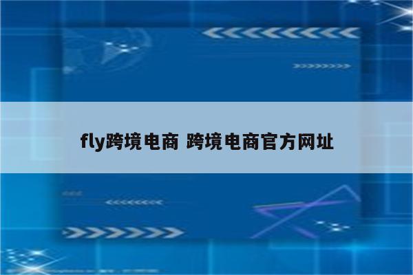 fly跨境电商 跨境电商官方网址