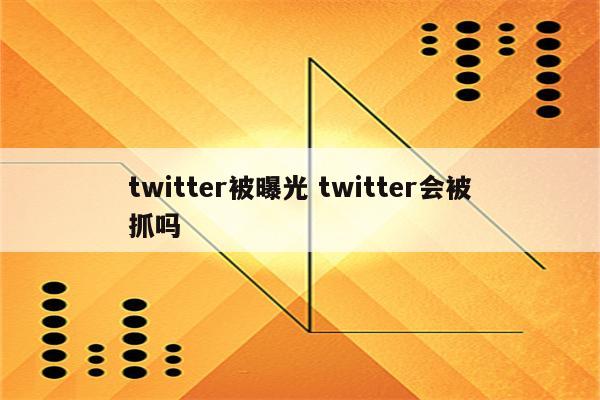 twitter被曝光 twitter会被抓吗