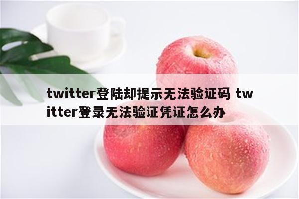 twitter登陆却提示无法验证码 twitter登录无法验证凭证怎么办