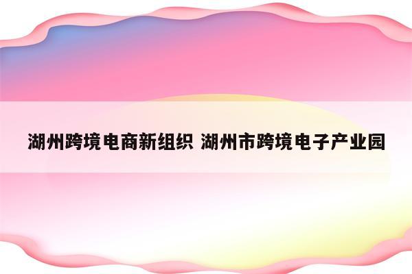 湖州跨境电商新组织 湖州市跨境电子产业园