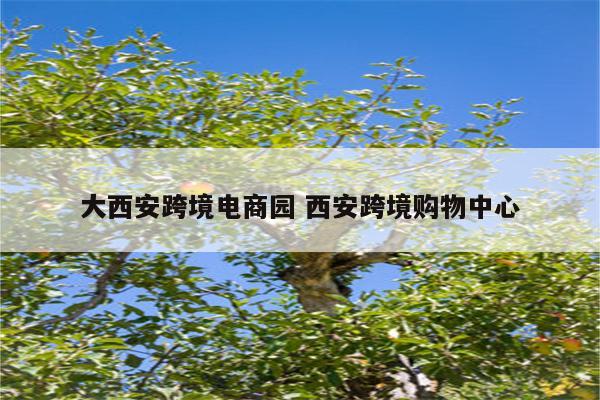 大西安跨境电商园 西安跨境购物中心