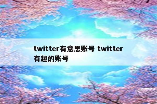 twitter有意思账号 twitter有趣的账号