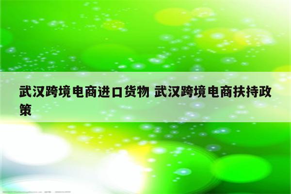 武汉跨境电商进口货物 武汉跨境电商扶持政策