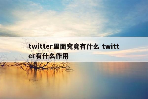 twitter里面究竟有什么 twitter有什么作用