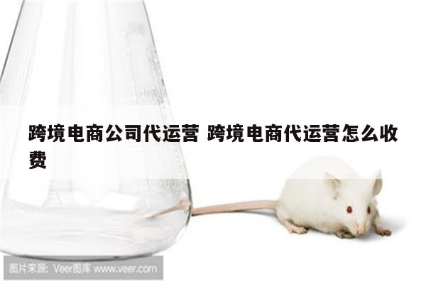 跨境电商公司代运营 跨境电商代运营怎么收费