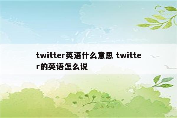 twitter英语什么意思 twitter的英语怎么说
