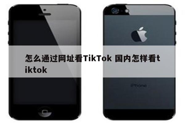 怎么通过网址看TikTok 国内怎样看tiktok