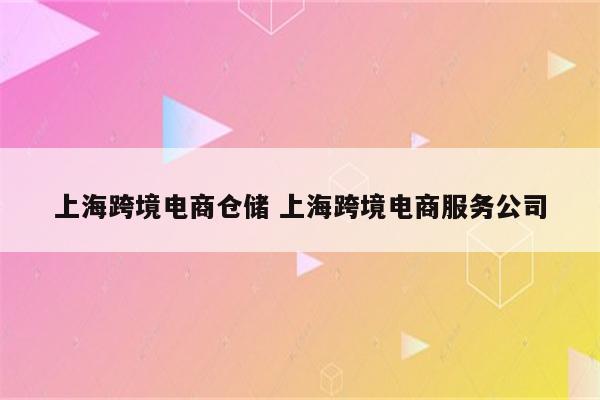 上海跨境电商仓储 上海跨境电商服务公司