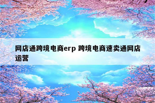 网店通跨境电商erp 跨境电商速卖通网店运营