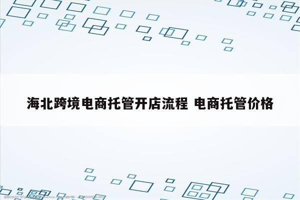 海北跨境电商托管开店流程 电商托管价格