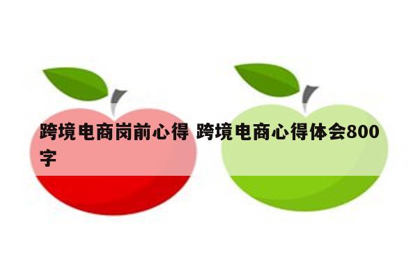 跨境电商岗前心得 跨境电商心得体会800字