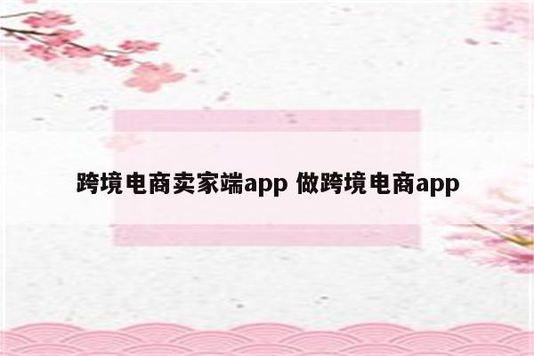 跨境电商卖家端app 做跨境电商app