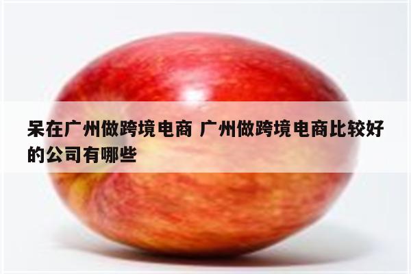 呆在广州做跨境电商 广州做跨境电商比较好的公司有哪些